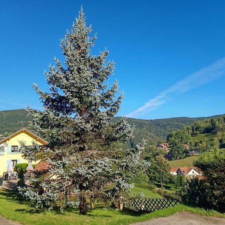 Les Sapins Bed & Breakfast Bussang Exterior foto