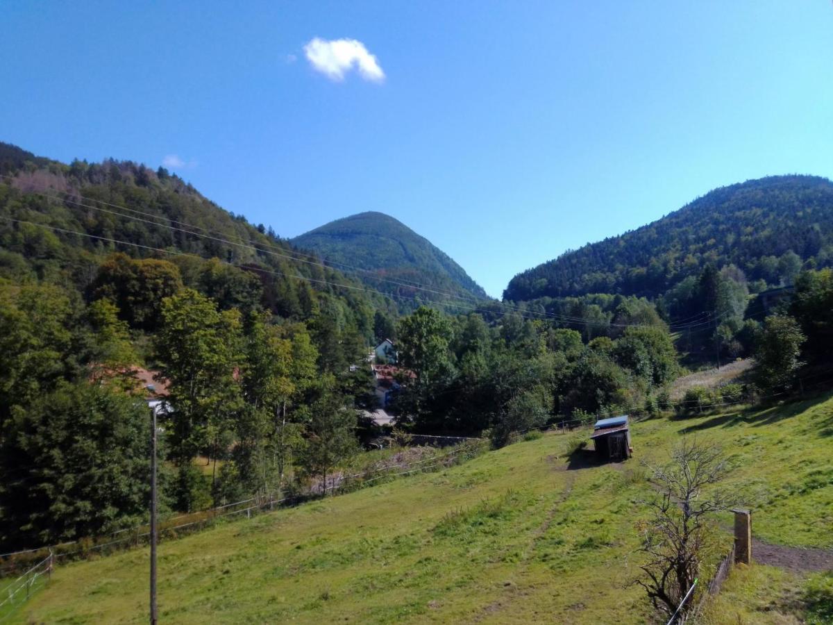 Les Sapins Bed & Breakfast Bussang Exterior foto