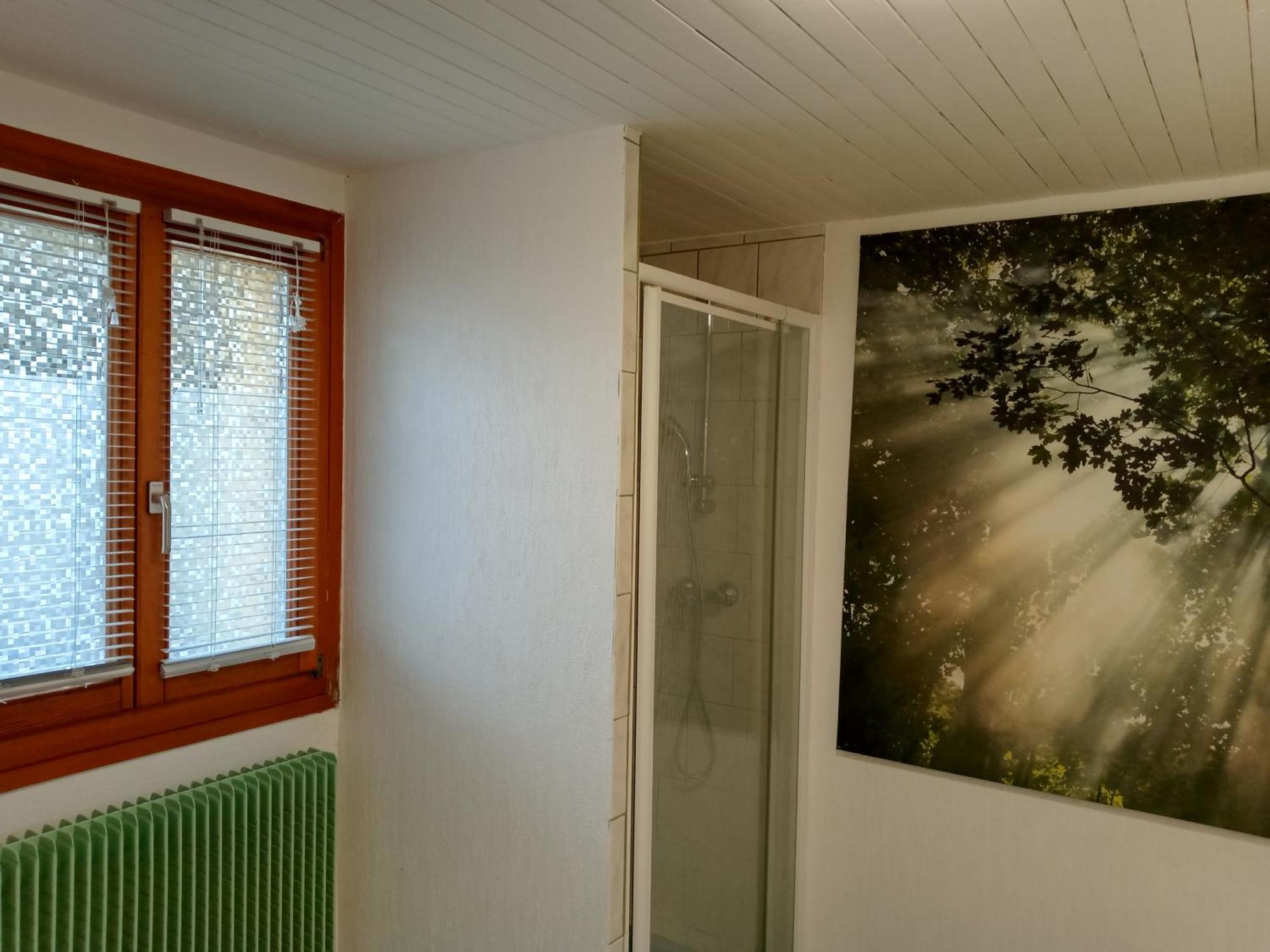 Les Sapins Bed & Breakfast Bussang Exterior foto