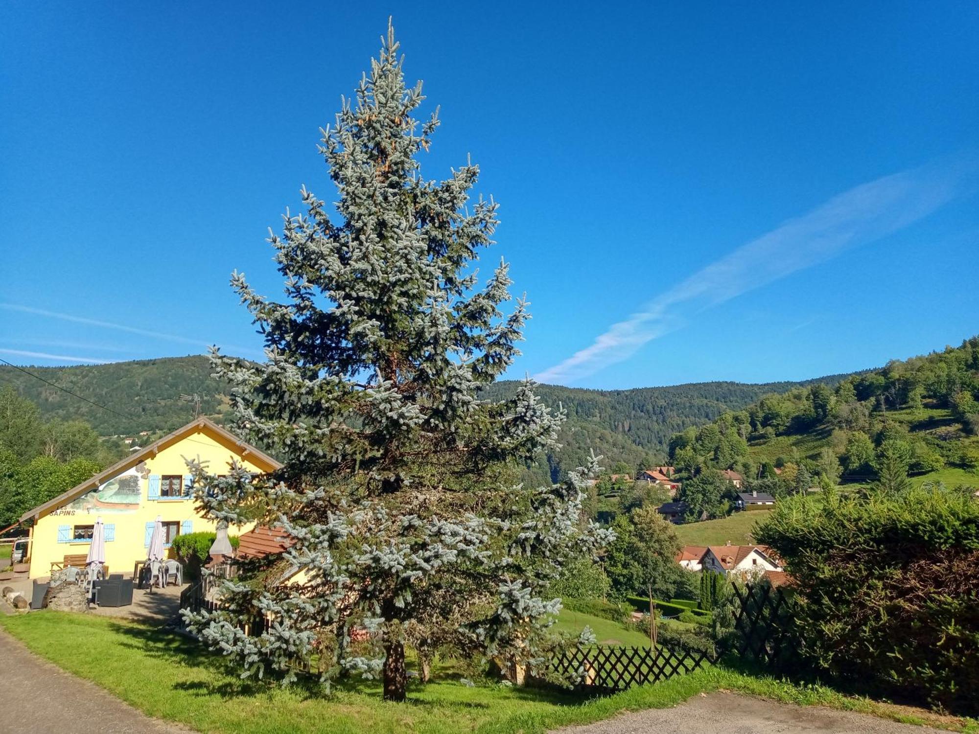 Les Sapins Bed & Breakfast Bussang Exterior foto