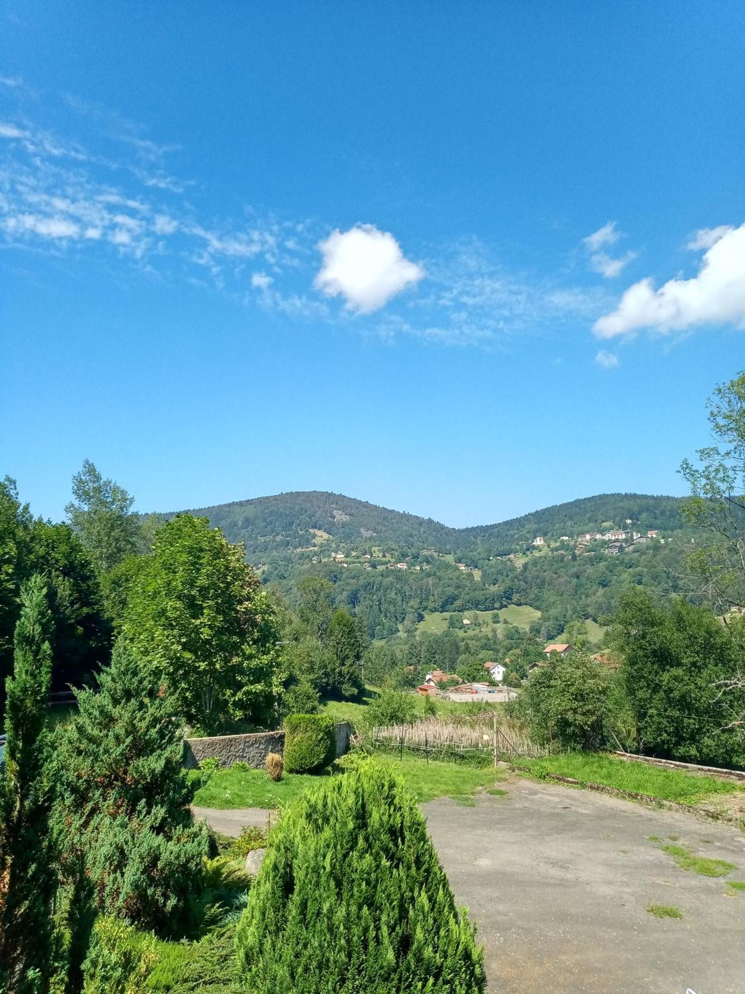Les Sapins Bed & Breakfast Bussang Exterior foto